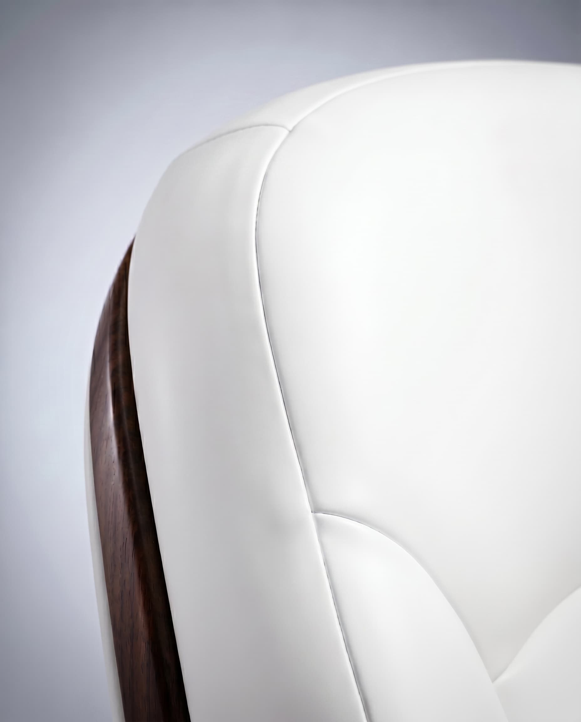 Leather Cleaning & Conditioning